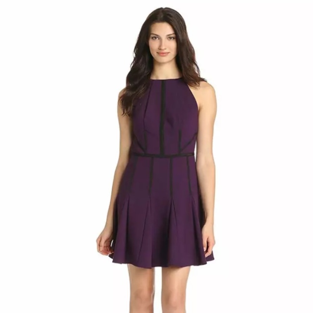 NWT Greylin Regina Grosgrain Fit and Flare Dress